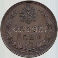 Szeged 1876. "Az 1876. évi Országos Ipar- Termény- és Állat - Kiállítás Szegeden / Érdem Érem&q...