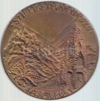 Peternák Gusztáv (1928-) 1982. "Szigligeti vár XIX.szd. - Avas torony / Keszthelyi Éremgyűjtő C...