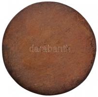 ~1970. "Vezess Baleset Nélkül Mozgalom" Br emlékplakett (69mm) T:2