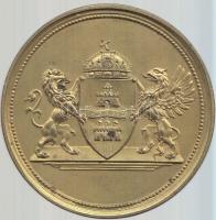 1928. "Budapest Székesfőváros Közönsége - Magyar Úszó Egylet" aranyozott Br emlékérem (60m...