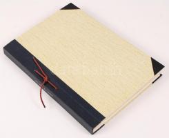 Amerikai 355 darabos gyufacímke gyűjtemény, nagyon szépen rendszerezve, feliratozva, berakóban / Ame...