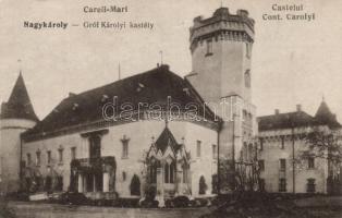 Nagykároly, Gróf Károlyi kastély / castle (Rb)