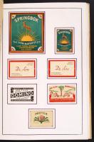 Afrika vegyes 534 darabos gyufacímke gyűjtemény, nagyon szépen rendszerezve, feliratozva, berakóban ...