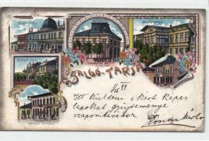 1899 Salgótarján, Gyógyszertár az Őrangyalhoz, Gyógyszertár a Magyar Koronához, bányaigazgatóság, casino, litho (levágott / cut)