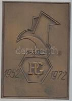 1972. "Pestvidéki Gépgyár 1952-1972" Br plakett (100mmx70mm) T:2