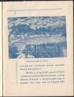 cca 1910 Hévíz IPOK gyógytelep képes ismertető  24p