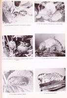 Katona József-Dr. Oláh László (szerk.): Kertészek könyve. Bp., 1987, Mezőgazdasági Kiadó. Fotókkal i...