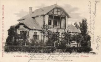 Siófok Császár villa