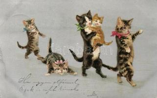 Cats litho