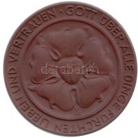 NDK 1983 évek "Luther Márton születésének 500. évfordulója" Meisseni porcelán emlékérem (64mm) T:1 GDR 1983 "500th Anniversary of Martin Luther" Meissen porcelain medallion (64mm) C:UNC