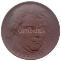 NDK 1983 évek "Luther Márton születésének 500. évfordulója" Meisseni porcelán emlékérem (6...