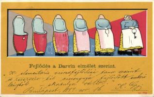 1899 fejlődés a darwini elmélet szerint / Slippers evolution, humour (EK)