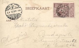 Brussels, Bruxelles; Bodega des Galeries St-Hubert, Bodega the Continental Company; floral litho