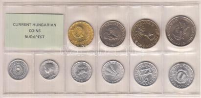 1988. 2f-20Ft 10db klf érmés forgalmi sor fóliatokban T:1
Adamo FO21