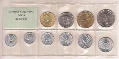 1989. 2f-20Ft 10db klf érmés forgalmi sor fóliatokban T:1
Adamo FO22