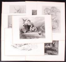 cca 1880 Sir Edwin Henry Landseer (1802-1873) nyomán: Állatok. 4db acélmetszet /  After Sir Edwin Henry Landseer: Animals, 4 steel engravings, 26x37cm; cca 1880 E. Landseer - J.C. Armytage/ C.G. Lewis: 4db vadászjelenet, acélmetszet, ill. rézkarc /  Hunting scenes, steel engraving, etching, 26x37cm