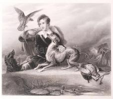 cca 1880 Sir Edwin Henry Landseer (1802-1873) nyomán: Állatok. 4db acélmetszet / 
After Sir Edwin He...