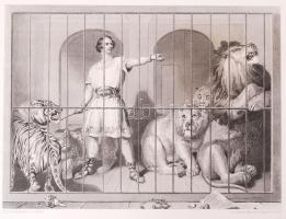 cca 1880 Sir Edwin Henry Landseer (1802-1873) nyomán: Állatok. 4db acélmetszet / 
After Sir Edwin He...