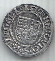 1519K-G Denár Ag "II. Lajos" (0.57g) T:2-
Huszár 841.,Unger I.: 673.m