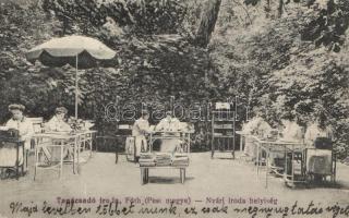 Fót, Tanácsadó iroda, Nyári iroda helyiség (fa)