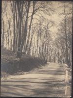 1930 Buda, a János-hegyre felvezető út, kora tavasszal, 24x18 cm