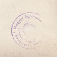 cca 1930-1940 Magyar Agrártudományi Egyetem, Talajtani tanszék, ásatás, talajvizsgálat, 16x23 cm