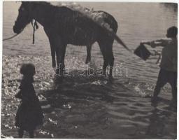 cca 1930-1940 Ismeretlen szerző: Lófürösztés, vintage szociofotó, jelzetlen, 18x22 cm
