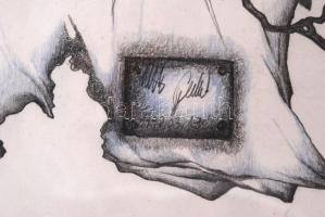 Olvashatatlan jelzéssel: Üzenet. Színes ceruza, papír, üvegezett keretben, 55×38 cm