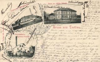 Prázsmár Neustadter's alcohol factory, paper factory, school, floral