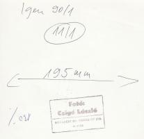 cca 1970-1980 Csigó László: Gellért püspök áldása, vintage városfotó, pecséttel jelzett, 23x16 cm