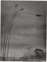 cca 1950 Járai Rudolf (1913-1993): Balatoni tájkép, jelzetlen vintage fotó, a szerző hagyatékából, 24x18 cm