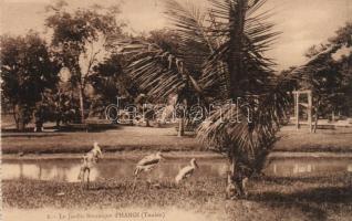 Hanoi botanical garden