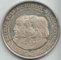 Soltra Elemér (1922-) 1992. "200 éves a Csurgói Gimnázium" Ag emlékérem (35.92g/0.900) T:P...