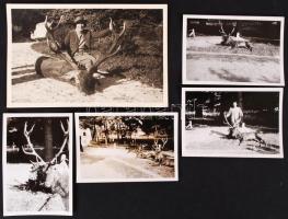 5 db vadászatról készült fotó, 6×8-8×13 cm