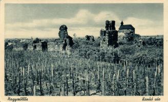 Nagyszőlősi Kankó-vár / castle