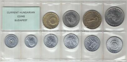 1989. 2f-20Ft 10db klf érmés forgalmi sor fóliatokban T:1