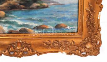 Hosszú jelzéssel: Tengerparti táj. Olaj, vászon, antik sérült keretben 48×55 cm
