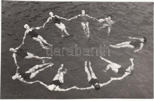 cca 1970-1980 Ismeretlen szerző: Tavirózsa, 17x11 cm