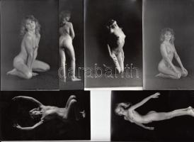 cca 1960-1970 Portfólió egy kezdő fotómodellről, finoman erotikus műtermi aktfotó, 13 db / 13 erotic photos, 14x9 cm