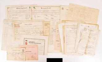 cca 1895-1948 Vegyes okmány tétel, 29 db (Budapesti Népegészség vezetőjétől bizonyítvány, himlőoltási bizonyítvány, keresztlevél, házasságlevél, végzés, jegyzőkönyv, törlési engedély, érettségi bizonyítvány, születési anyakönyvi kivonat, származási táblázat)