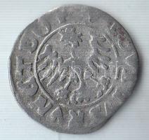 Lengyelország 1525. 1/2Gr Ag "II. (Jagelló) Lajos" T:3 Poland 1525. 1/2 Gross Ag "Ludwig II Jagello" C:F