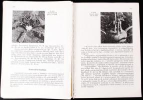 Dr. Szalva Péter: Káposztafélék termesztése. Bp., 1982, Mezőgazdasági Kiadó. Papírkötés, középen a l...