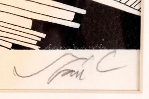 Szász Endre (1926-2003): Bölcs kupával. Szitanyomat, papír, jelzett, 50×70 cm