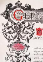 1906 Bp., Magyar Királyi József-Műegyetem által kiadott gépészmérnöki diploma
