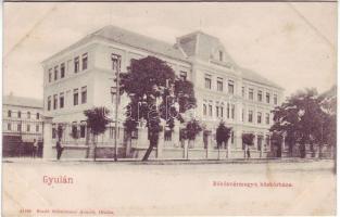 Gyula Békés vármegye közkórháza