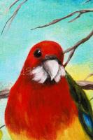 Gaál Zsuzsa: Papagájok. Olaj, farost, jelzett újszerű keretben 70×50 cm