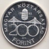1993. 200Ft Ag "MNB" T:PP
Adamo F13