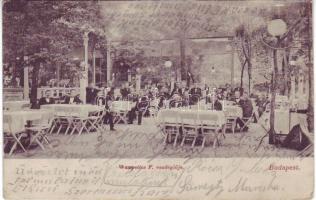 1905 Budapest Wampetics F. vendéglője
