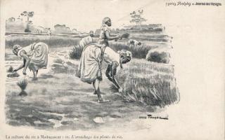 Madagascar folklore, work with rise, artist signed (small tear)