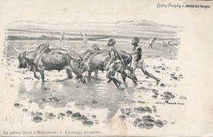 Madagascar folklore, crushing, artist signed (EK)